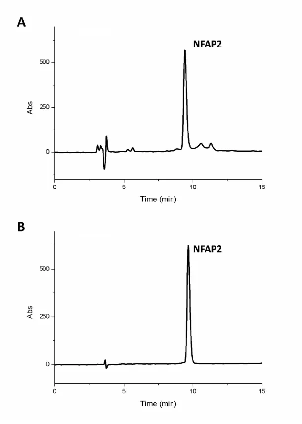 Fig  S3  RP-HPLC  chromatogram  of  recombinant  NFAP2  produced  by  P.  chrysogenum  (A)  47 