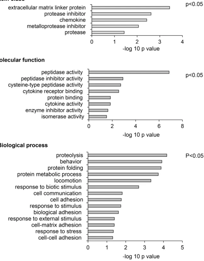 Figure 6: Meta-analysis of SIDLS labeling of the AGS cell secretome identifies proteins involved in inhibition of  proteolysis as targets of chemerin