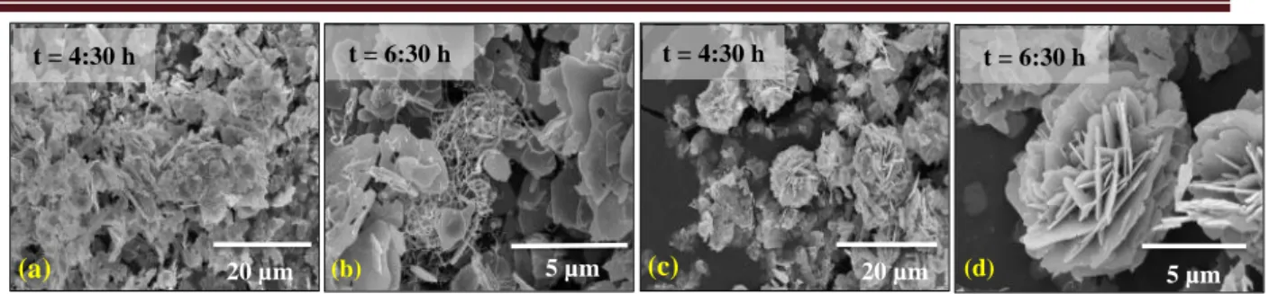 Figure  3.  SEM  micrographs  of  samples  prepared  at  two  different  hydrothermal  temperature  conditions (120C and 150C) depicting two different morphologies 