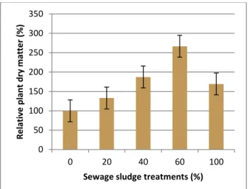 Figure 2. Effect of sewage sludge application on rye plant dry weight in two soil  samples 