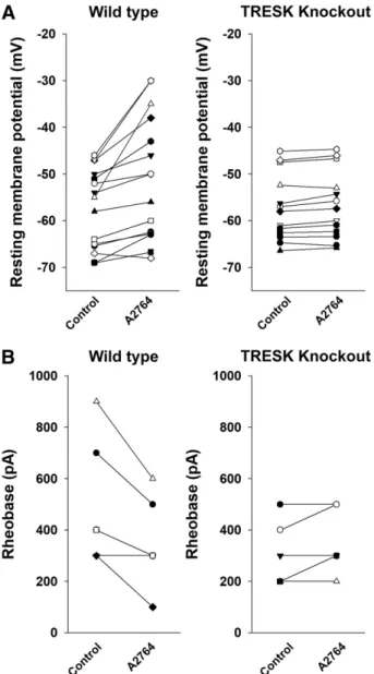 Fig. 7. Summary of the effect of A2764 on wild-type and TRESK KO DRG neurons. (A) The resting membrane potential of 15 wild-type (left panel) and 13 TRESK KO (right panel) DRG neurons was measured before (Control) and after (100 m M) A2764 application