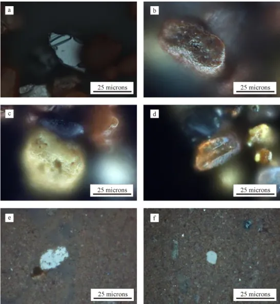 Figure 2. Typical mineral grains of the studied red mud. (a) ilmenite (coarse grain fraction) (b)  hematite (coarse grain fraction), (c) goethite (coarse grain fraction), (d) gibbsite (coarse grain fraction),  (e) anatase in the matrix, (f) zircon in the m