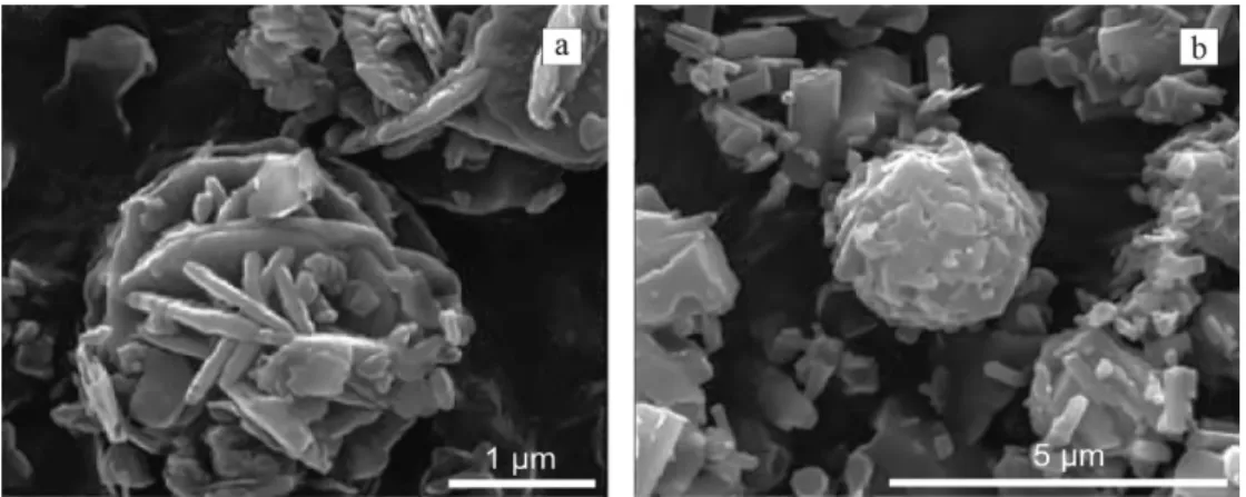 Figure 4. Alkaline alteration products formed during the ageing of kaolinite in 5 M NaOH + 4 M SO 4 at 70 °C for (a) 2 days, (b) 7 days (reproduced after the Figure 3 of [20] with the permission of the  Mineralogical Society of Great Britain and Ireland)