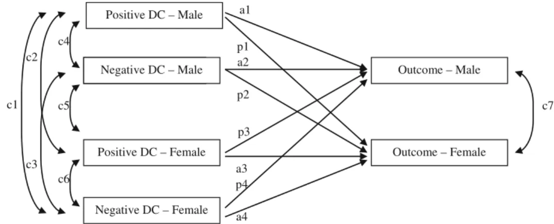 Fig. 1 General structure of the APIM used in the study. Note: