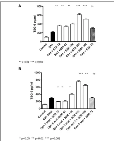 FIGURE 8 | Effect of KYNA analogs SZR 72 and SZR 105 on the TNF-α production and TSG-6 secretion in human whole blood cells stimulated by heat inactivated Staphylococcus aureus