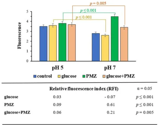 Figure 2. Accumulation of EB at pH 5 and pH 7 by E. coli K-12 AG100 in the presence and absence of glucose 0.4%, with and without 25 μg/ml of PMZ