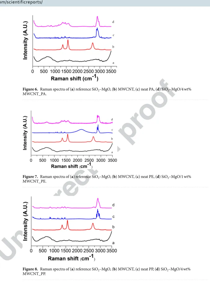 Figure 6.  Raman spectra of (a) reference SiO 2 –MgO, (b) MWCNT, (c) neat PA, (d) SiO 2 –MgO/4 wt% 