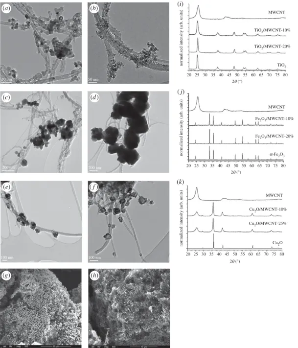 Figure 4. Representative TEM (a – f ) and SEM (g – h) micrographs of TiO 2 /MWCNT (a,b), a-Fe 2 O 3 /MWCNT (c,d) and Cu 2 O/MWCNT (e – h) nanocomposite membrane materials with 10 wt% (a,c,e,g), 20 wt% (b,d) and 25 wt% ( f,h) MWCNT content, respectively.