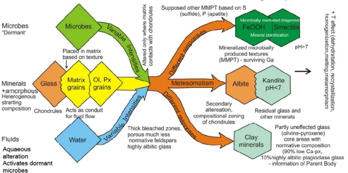 Figure 6. Summary of the mineral transformations if three threads of actors are individually considered in the complex system of the UOC alteration processes: water (fluids), initial minerals and microbes