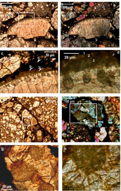 Figure 2. Characteristic microtexture of chondrites. (a) characteristic microtexture of Mező-Madaras chondrite containing chondrules (broken one in the centre), and olivine and pyroxene mineral clasts embedded in opaque fine-grained matrix (1N), dashed arr