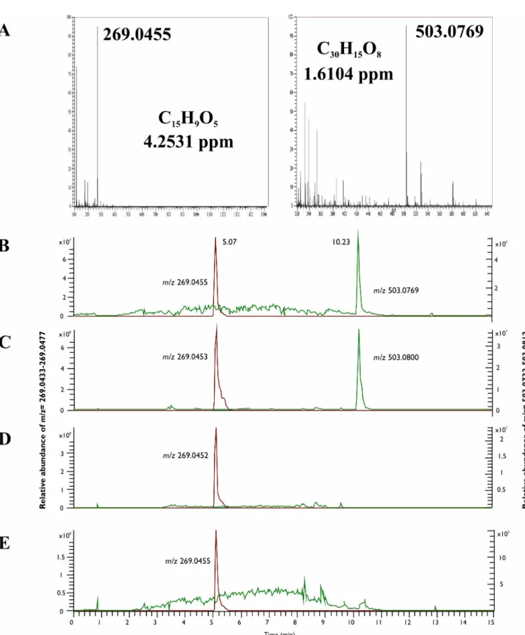 Fig 3. Full scan MS examinations of the hypericin and emodin production of the endophytes