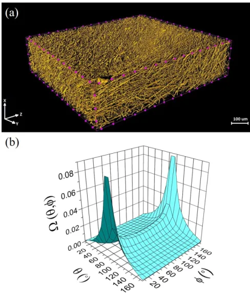 Fig. 2. (a) 3D rendered image and (b) 3D fiber orientation distribution of sample A obtained via  X-ray microCT analysis