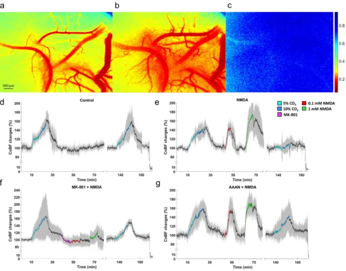 Figure 2.  Cortical blood flow (CoBF) changes to graded hypercapnia and NMDA using laser-speckle contrast  imaging and analysis