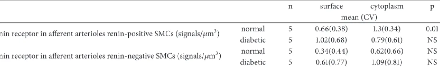 Table 5: The number of renin receptors on the surface and in the cytoplasm of renin positive and renin negative SMCs.