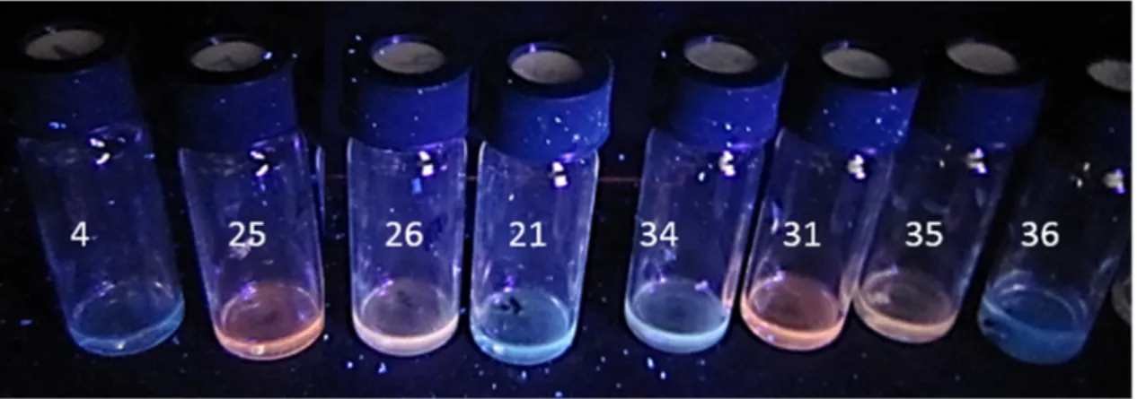Figure 4. Biomass suspensions of single mold colonies photographed when excited with UV light (360  nm)