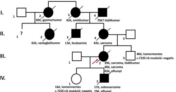 7. ábra Li–Fraumeni-szindrómában szenvedő család. A probandánál (III/2, nyíl) és fiánál (IV/2) a betegség hátterében a TP53-génen csírasejtvonal-beli  c.722C&gt;G p.Ser241Cys mutáció igazolódott heterozigóta formában