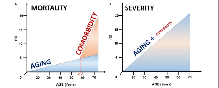 FIGURE 5 | Model for the joint effect of aging and comorbidities on mortality and severity