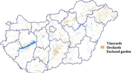 Fig. 2. Grape and fruit tree plantations in Hungary based on the Corine Land Cover (CLC) surface  map 