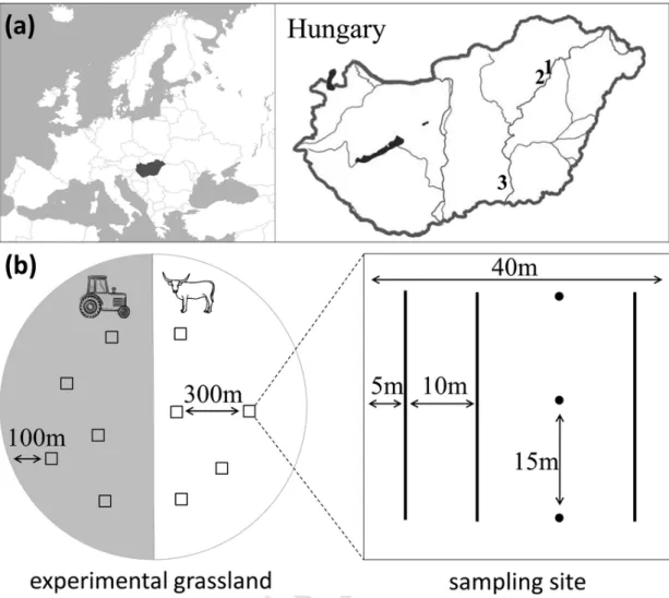 Fig. 1. The location of the grasslands studied (a) marked with numbers, and the sampling design (b)