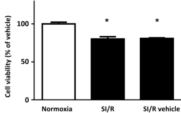 Fig. 4    NRCMs which were encountered 4 h of simulated ischemia  and 2 h reperfusion showed a significant decline in cell  viabil-ity in comparison to the normoxic group