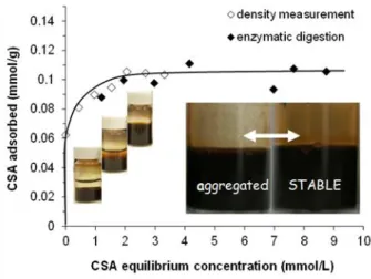 Figure 1. Adsorption isotherm of chondroitin-sulfate-A (CSA) on magnetite nanoparticles (MNP) at  pH ~6.3 and 10 mM NaCl