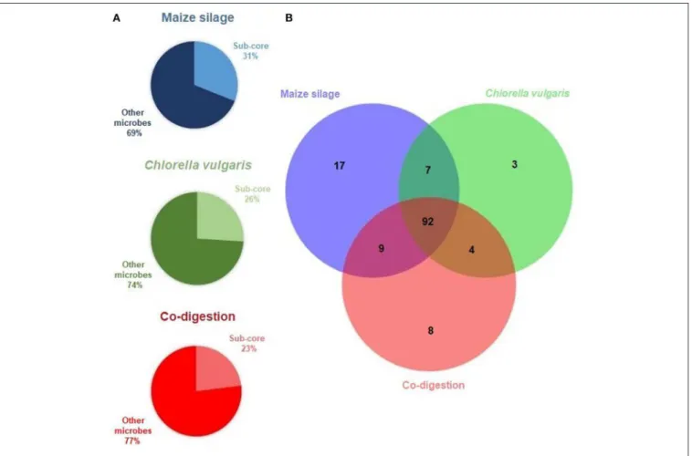 FIGURE 2 | The results of core microbiome calculation. (A) The Venn diagram presents the sub-core habitat associations within the anaerobic digesters