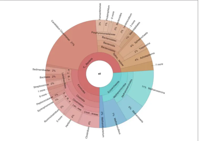 FIGURE 3 | Taxonomic distribution of the core microbiome, i.e., the taxa present in all 16 metagenomes at domain, phylum, class, order, family and genus levels