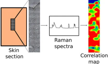 Figure 10. Raman chemical mapping. 
