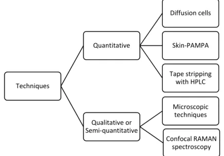 Figure 5. The main quantitative and qualitative methods for following up skin penetration