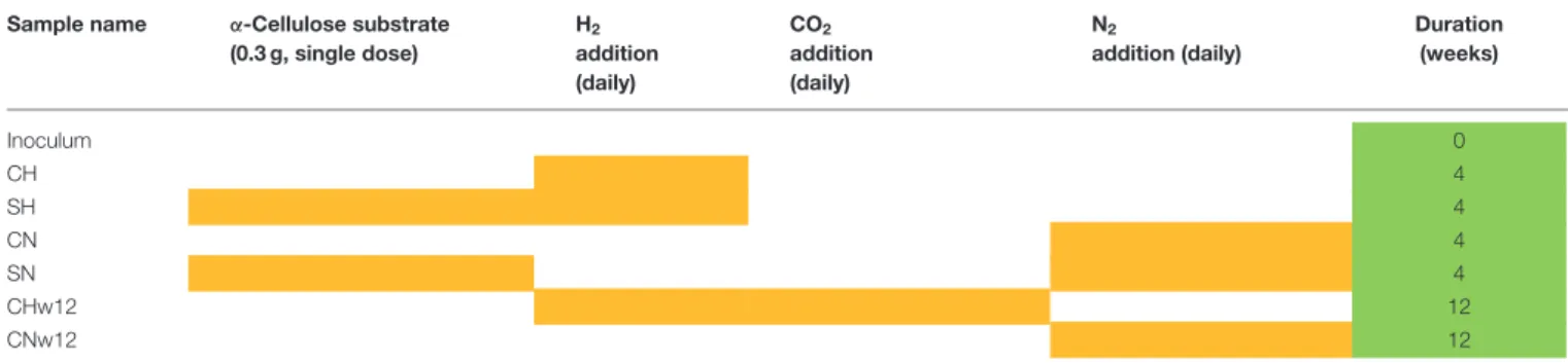 FIGURE 1 | Methane production in the batch reactors. Batch reactors were operated as described in Materials and Methods