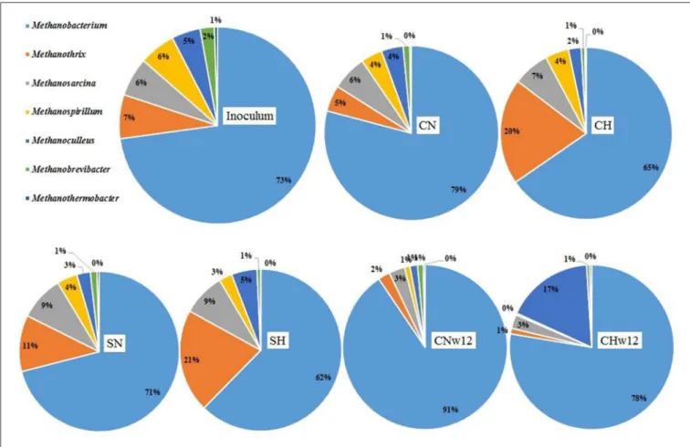 FIGURE 6 | Relative abundances of the Archaea genera. The compositions of the reactors were as in Figure 3.