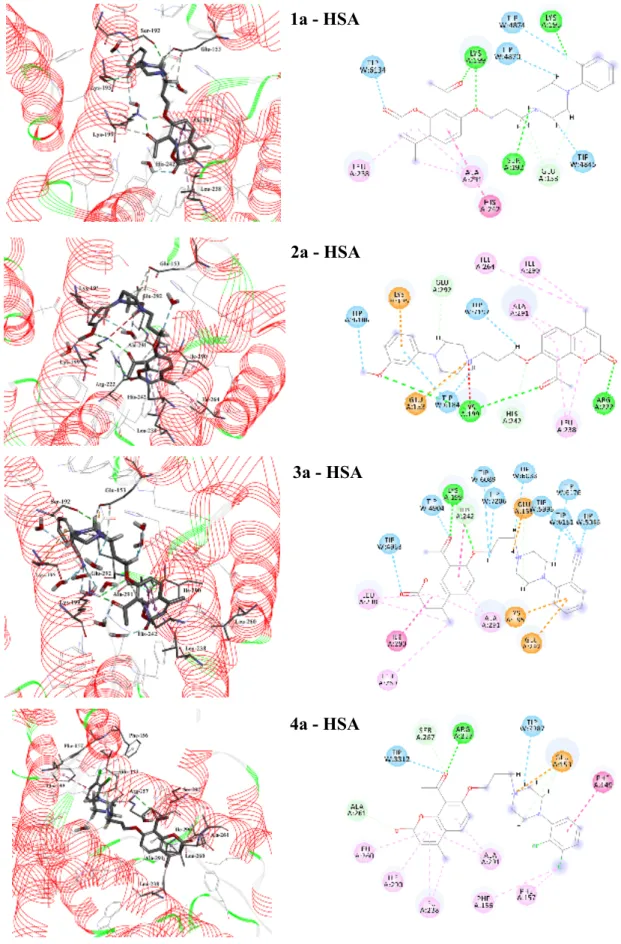 Fig. 9. Structures of the 1a – HSA, 2a – HSA,  3a – HSA and 4a – HSA complexes, and 2D  view of all HSA residues interacting with the ligands resulting from MD simulations (residues 