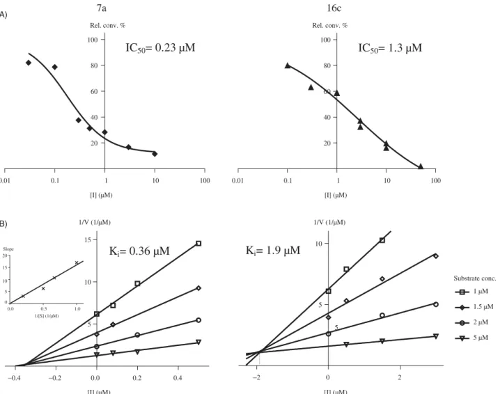 Figure 3. Concentration-dependent STS inhibition (A) and Dixon ’ s kinetic analysis (B) of selected 13 b -estrone compounds 7a, 16c