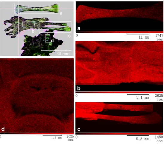 Fig. 9 The picture in the top left corner designates the areas (a to d) investigated by μ XRF in the Nyárl ő rinc, ind