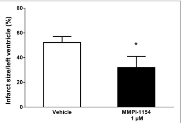 FIGURE 6 | MMPI-1154 is cardioprotective. The effect of MMPI-1154 on myocardial infarct size in isolated rat hearts subjected to 30 min global ischemia followed by 120 min reperfusion