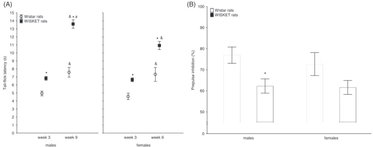 FIGURE 1 Pain sensitivity (A) and sensory gating process (B) indicated by the tail-flick latency and prepulse inhibition (%PPI) values in Wistar and WISKET rats by age and sex
