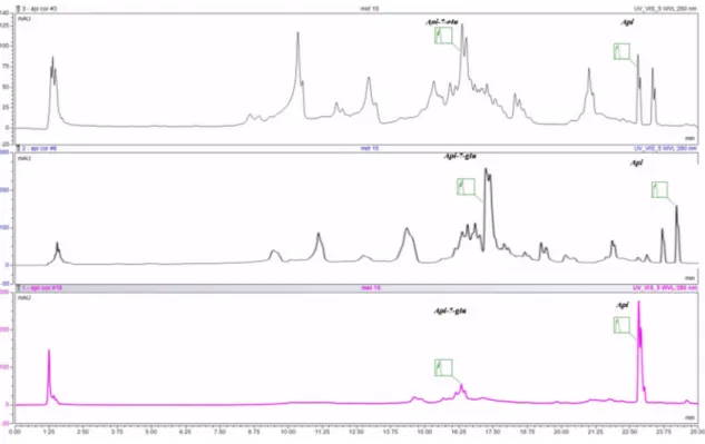 Figure 1. UHPLC chromatogram of the investigated extracts: MC—chamomile flower extract, C- celery seeds extract, P—parsley seeds extract; Api-7-glu—apigenin glucoside, Api—apigenin.