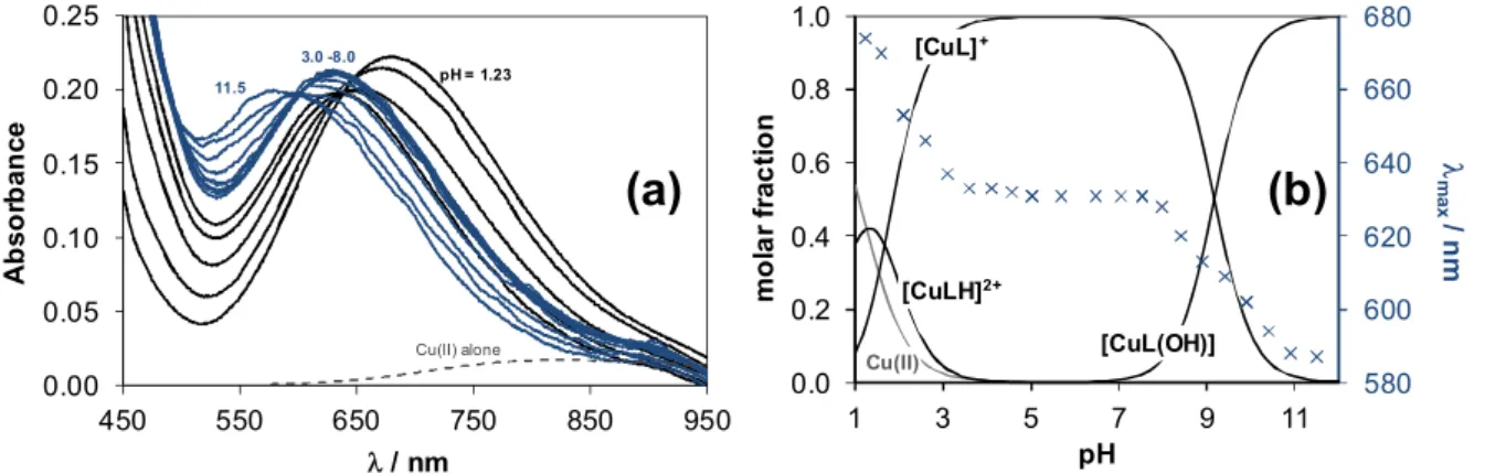 Fig. 8. UV-vis absorbance spectra recorded for the Cu(II) ‒ FTSC system at 1:1 metal-to-ligand ratio  at pH = 1.2 – 11.5 (a)