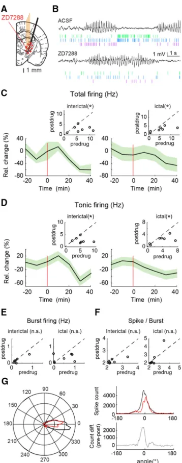 Figure 2. Effect of ZD7288 microdialysis injection in the VB on TC neuron firing in freely moving GAERS.A, Position of the unilateral four-shank silicone probe (4 thin orange lines) and microdialysis probe (black thick oblique line) on a rat brain schemati