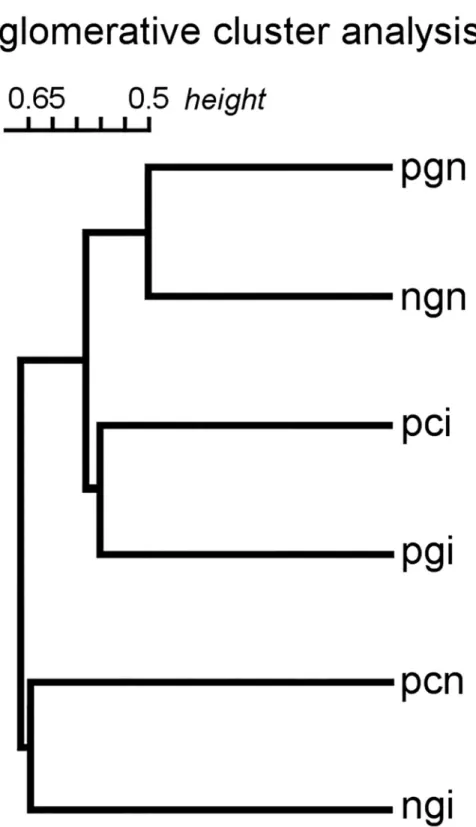 Fig 2. Dendrogram of agglomerative hierarchical cluster analysis. (Treatments: non-incubated clutches: ngn—non- ngn—non-parasitized great reed warbler egg, pgn—ngn—non-parasitized great reed warbler egg, pcn—ngn—non-parasitized cuckoo egg; incubated clutch
