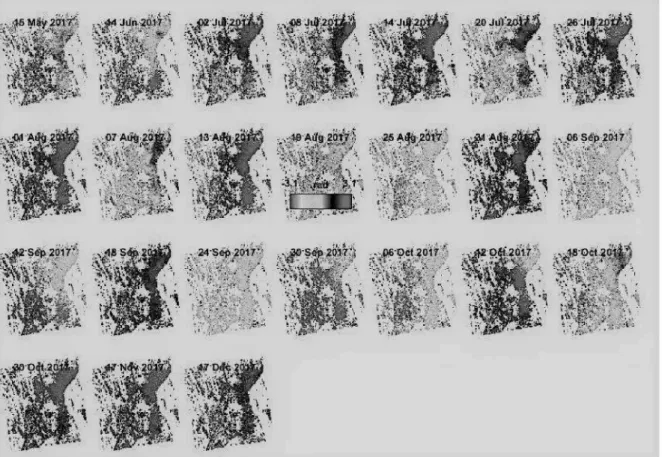 Figure 3 23 unwrapped phases o f 23 different interferograms from. 24 Sentinel-1  images fo r Paks area