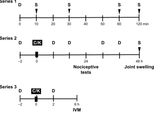 Figure 1 Time sequence of interventions.