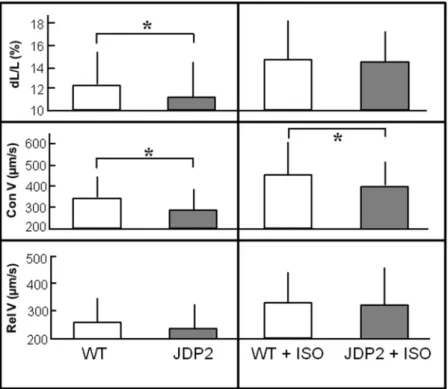 Figure 5.  Apoptosis and Hypertrophy increases in JDP2 mice. Hearts were extracted from mice five weeks  after start of JDP2 overexpression and from age matched WT animals