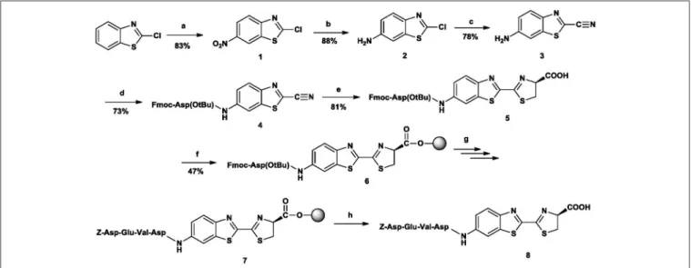 FIGURE 4 | The synthetic route to N-Z-DEVD-aLuc. Reagents and conditions: (a) ccH 2 SO 4 /KNO 3 , 0–15 ◦ C, 5h (b) EtOAc, NH 4 Cl, H 2 O, Fe powder, reflux, 8h (c) KCN, DMAA, 110 ◦ C, 12h (d) Fmoc-Asp(OtBu)-OH, TCFH, dry DCM, DIPEA, overnight, rt (e) D-Cys