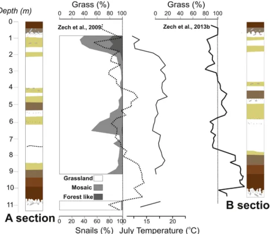 Fig. 6. Comparison between mollusk as- as-semblages related to the grassland, mosaic forest, and forest-like vegetation types, using n-alkane biomarker data (Zech et al., 2009) and July paleotemperatures obtained at section A, as well as the n-alkane  bio-