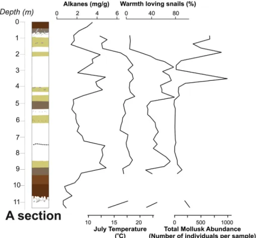 Fig. 7. Comparison between alkane concentrations ( μ g/g), relative abundance of warmth loving snails (%), July paleotemperatures and total mollusk abundance (number of individuals) at section A