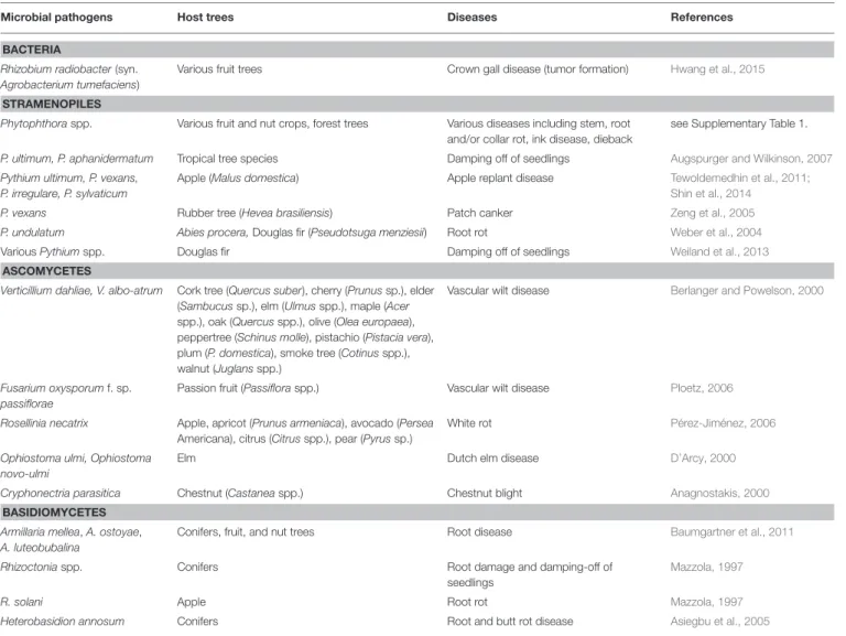 TABLE 2 | Examples for the most relevant microorganisms affecting tree crops as soil-borne pathogens.