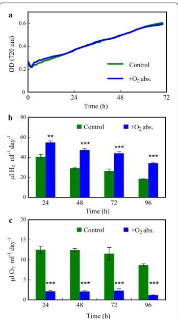 Fig. 6  Characterisation of the photosynthetic apparatus of  Chlamydomonas during  H 2  production in acetate‑free HS medium  induced by dark anaerobic incubation in the absence and presence  of an iron‑salt‑based  O 2  absorbent