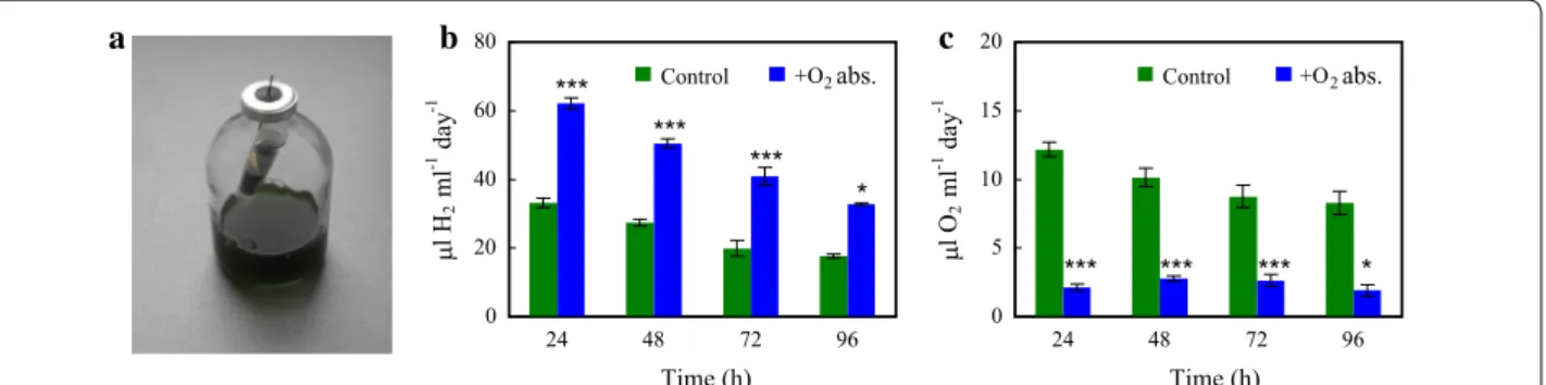 Fig. 4  The effect of an iron‑salt‑based  O 2  absorbent (O20TM) on the  H 2  production of Chlamydomonas in acetate‑free HS medium induced by  dark anaerobic incubation
