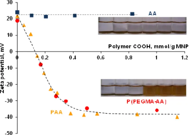 Figure 4. Zeta potentials of coated nanomagnets as a function of P(PEGMA-AA) (red), PAA (orange)  [37],  and  AA  (blue)  loadings,  calculated  on the  basis  of  molar  amount  of  carboxylic  groups  (0–1.2  mmol/g)